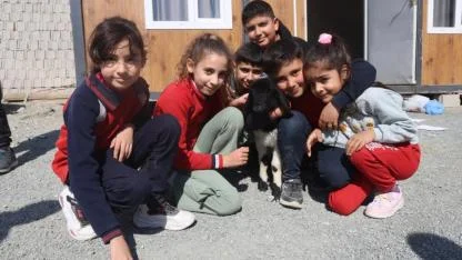 Hatay'da annesiz kalan kuzu "Boncuk", çocukların neşesi oldu