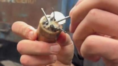 İneğin midesinden mıknatısla ve madeni para çivi çıkardılar