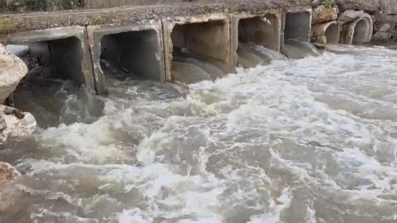 İznik Gölü'nün umudu Karasu Deresi yağışlarla canlandı