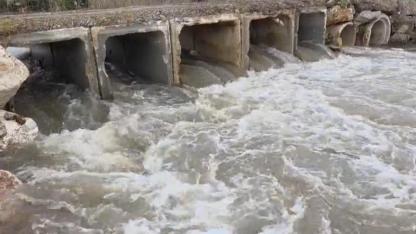 İznik Gölü'nün umudu Karasu Deresi yağışlarla canlandı