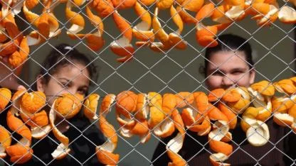 Kabuğunu kurutuyorlar, meyvesinden ekşi yapıyorlar