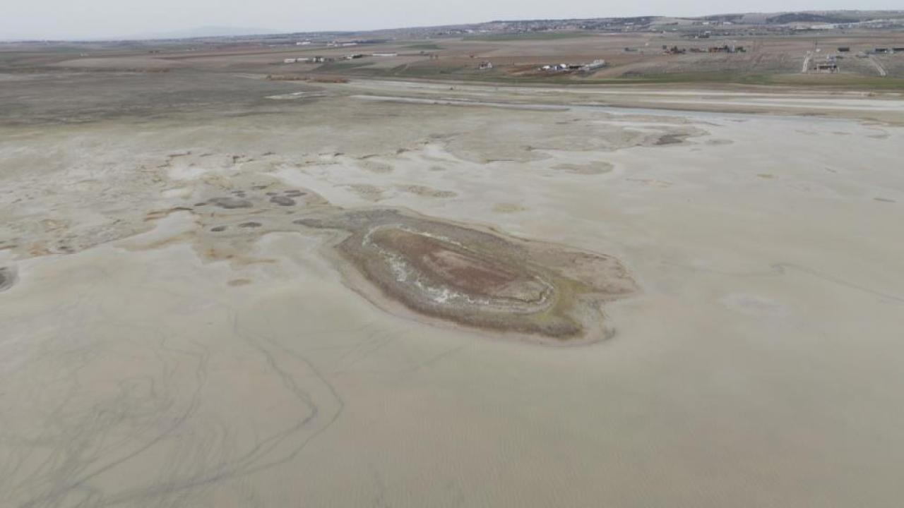Kış yağışlarına rağmen kurudu allı turnalar bu yıl uğramadı