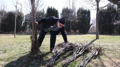 Konya Büyükşehir 2 ayda 23 bin 530 meyve fidanı dağıtacak