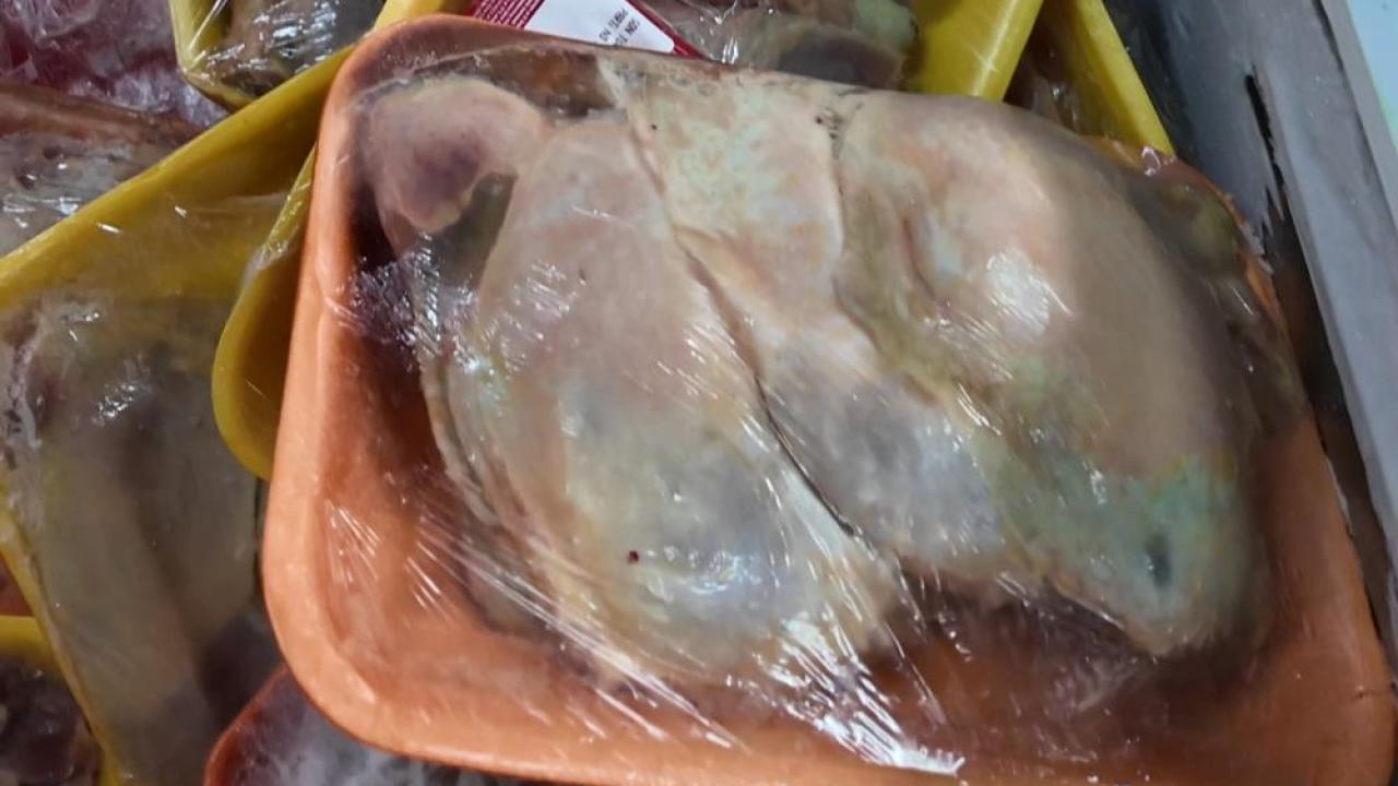 Küflenmiş et satan kasap mühürlendi