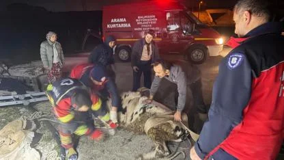 Kuyuya düşen inek kurtarıldı