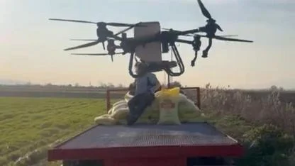 Manisa'da traktör girmeyen tarlaya drone ile gübre atılıyor