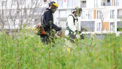 Osmangazi, yabani ot temizliğiyle yaza hazırlanıyor