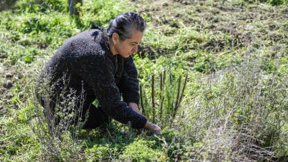 Tıbbi aromatik bitki kursuna katılan kadının hayatı değişti