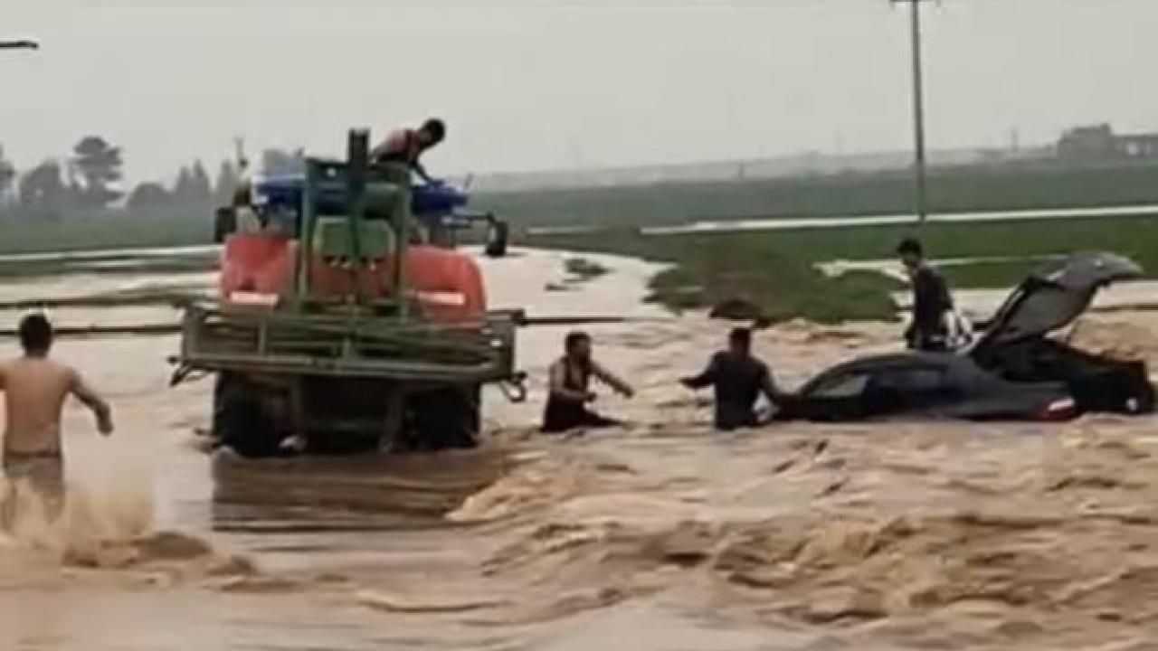 Yağmurdan ahır çöktü 30 büyükbaş öldü, 40 koyun sele kapıldı