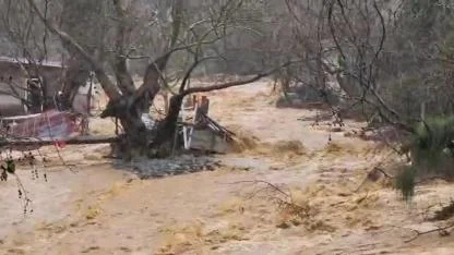Yalova’da dereler taştı, 5 büyükbaş hayvan telef oldu