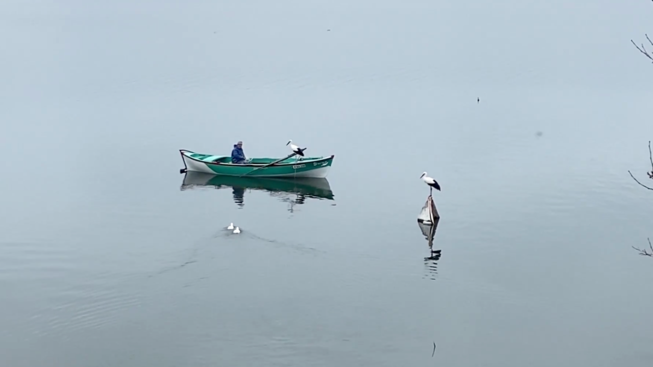 Yaren leylek ve eşi Uluabat Gölü'nde Adem amcayla buluştu