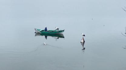 Yaren leylek ve eşi Uluabat Gölü'nde Adem amcayla buluştu