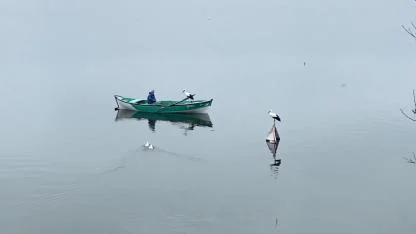 Yaren leylek ve eşi Uluabat Gölü'nde Adem amcayla buluştu