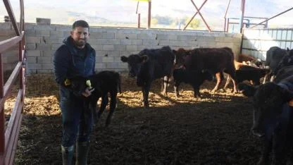 Ziraat mühendisliğini bırakıp destekle hayvancılığa başladı