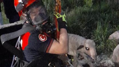 20 metrelik kuyuya düşen kuzu kurtarıldı