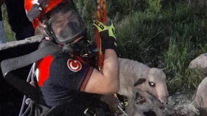 20 metrelik kuyuya düşen kuzu kurtarıldı