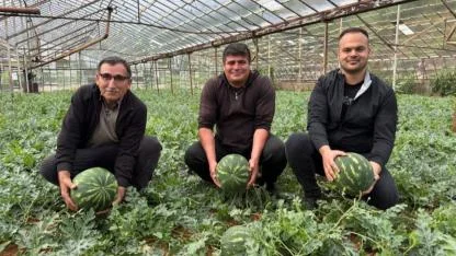 Antalya'da karpuz hasadı 15 Nisan'da başlıyor