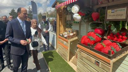 "Balkonlar Bostan Olsun" projesinde talep patlaması yaşandı