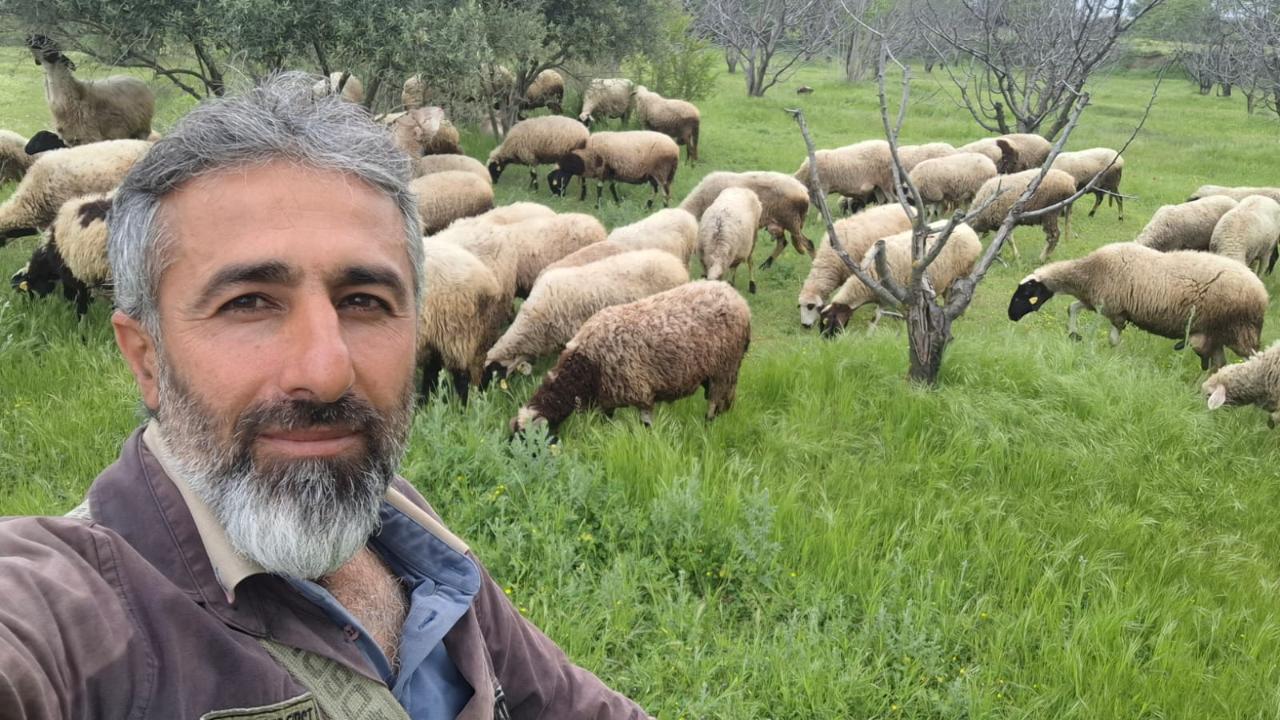 İle de France ile sakız çiftleşti; verimi şaşırttı