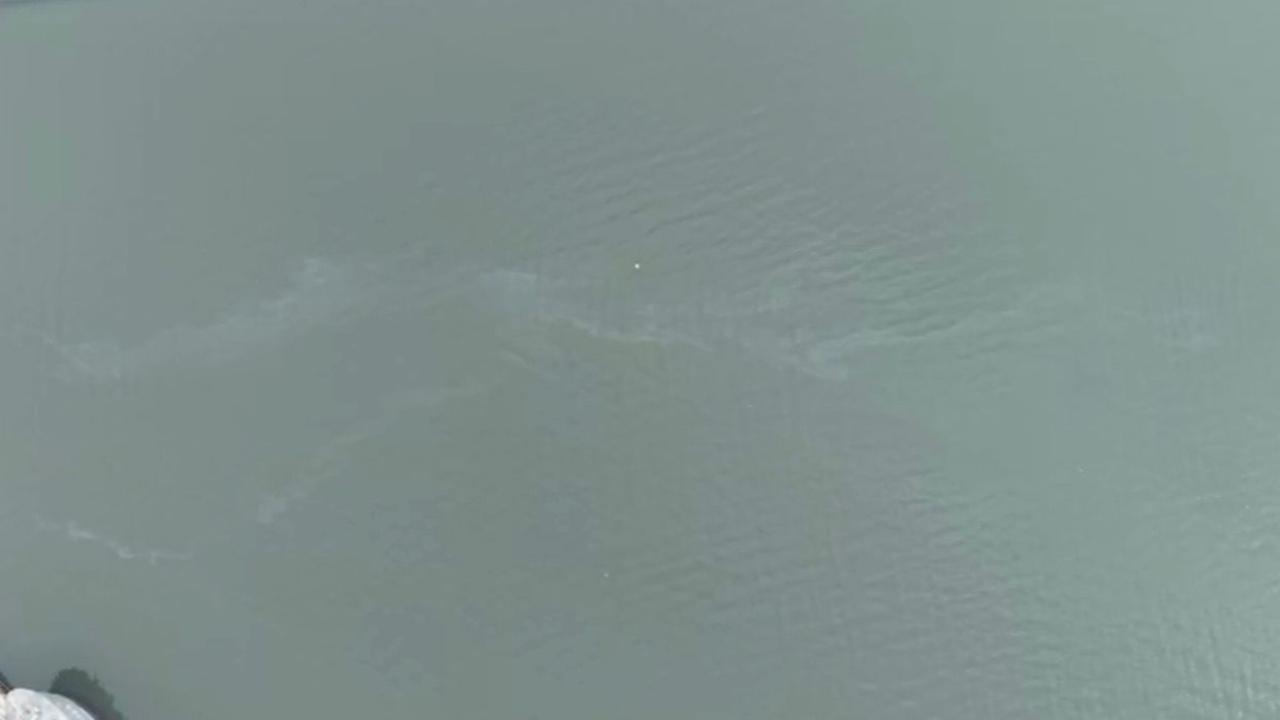 İzmir Körfezi'nde yakıt içerikli kirlilik tespit edildi