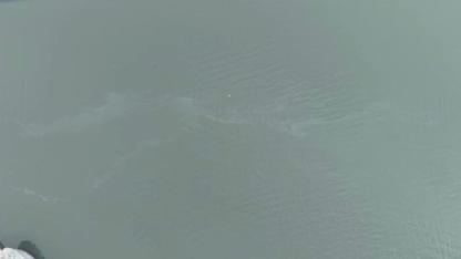 İzmir Körfezi'nde yakıt içerikli kirlilik tespit edildi