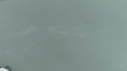 İzmir Körfezi'nde yakıt içerikli kirlilik tespit edildi