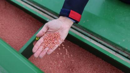 Kayseri Büyükşehir'den yüzde 50 hibeli 350 ton tohum desteği