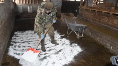 Keçi yetiştiricisi kireç sayesinde oğlak ölümlerini önledi