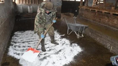 Keçi yetiştiricisi kireç sayesinde oğlak ölümlerini önledi