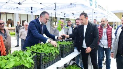 Kestel'de 6 bin ahududu fidanı dağıtıldı