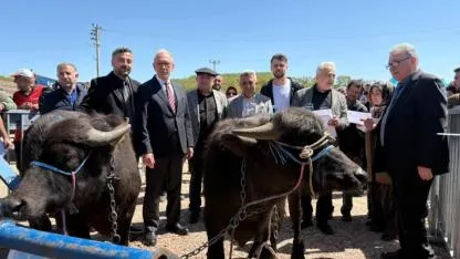 Kocaeli'de mandacılığa 3,4 milyon liralık destek