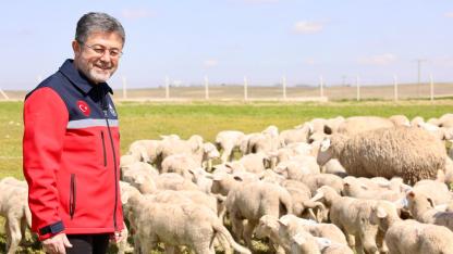 "Küçükbaşa Destek" projesinde en iyi ırklar verilecek