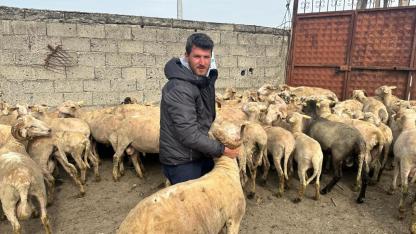 Kurbanlık bereketi: Önce düğün yaptı, şimdi bebek bekliyor