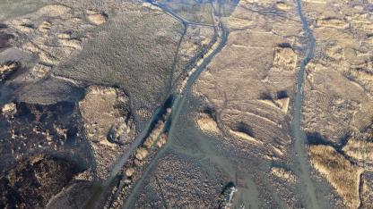 Kuruyan Akşehir Gölü'nde son yıllarda görülmeyen oldu