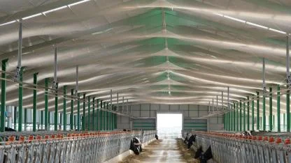 Kuş filesi ile hem pislikten hem hastalık riskinden kurtuldu