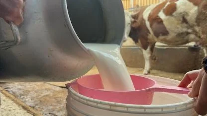 Mazot fiyatındaki artış çiğ süt maliyetini de etkiledi