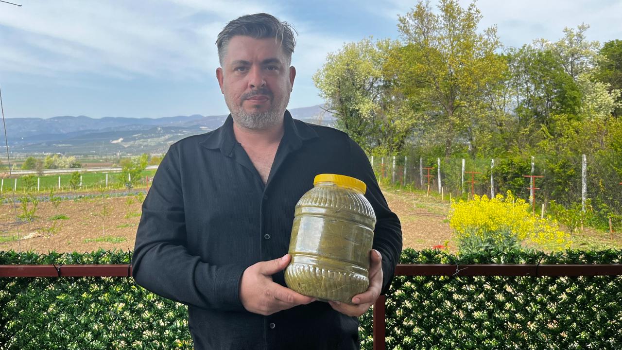 Meşhur asma yaprağını ilaçsız üretip her yere gönderiyor