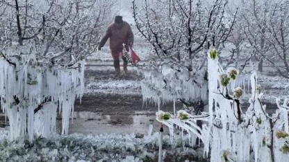 Meteoroloji'den zirai don uyarısı