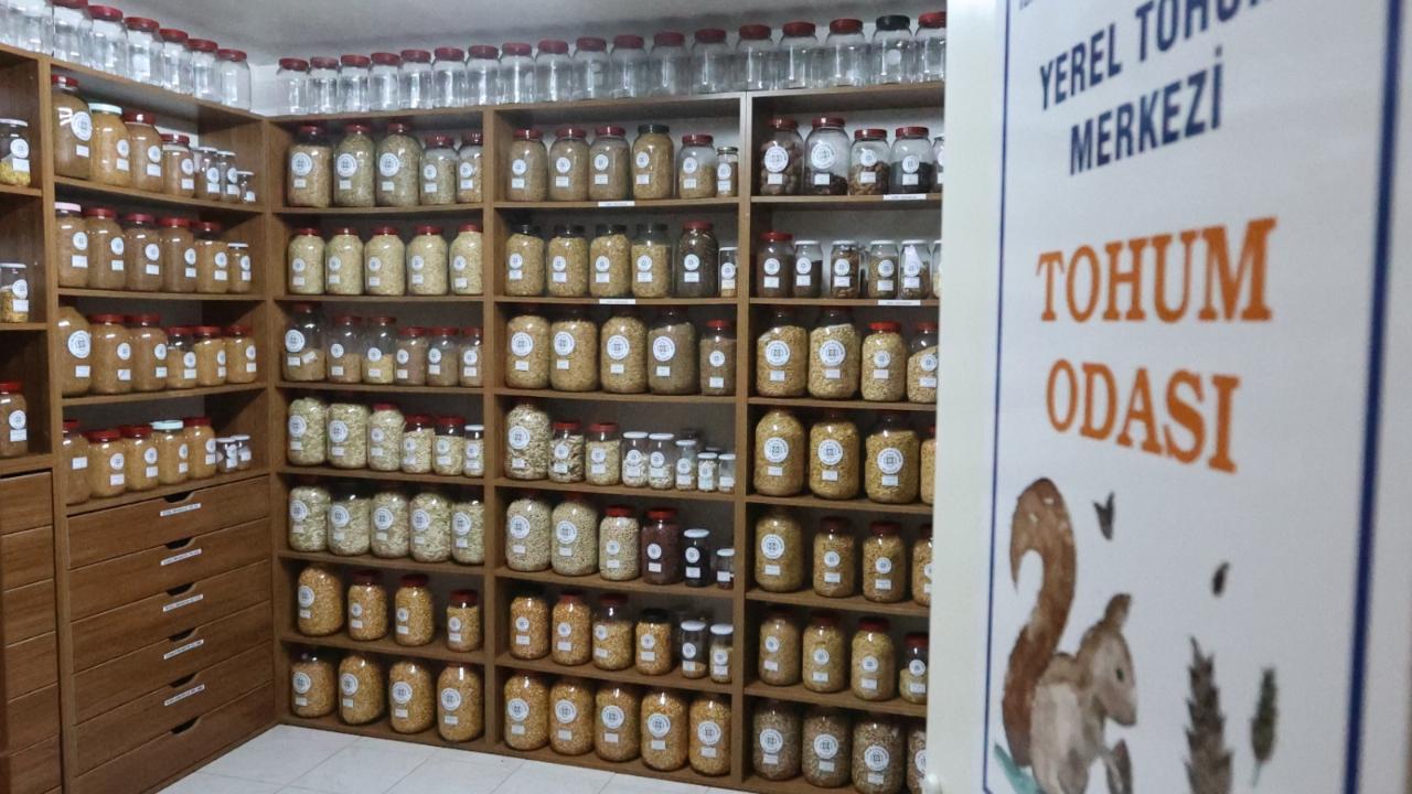 Muğla Büyükşehir 10 yılda 25 milyon tohum dağıttı