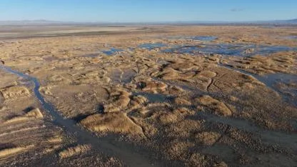 Nasreddin Hoca'nın gölünde yıllardır görülmeyen oldu