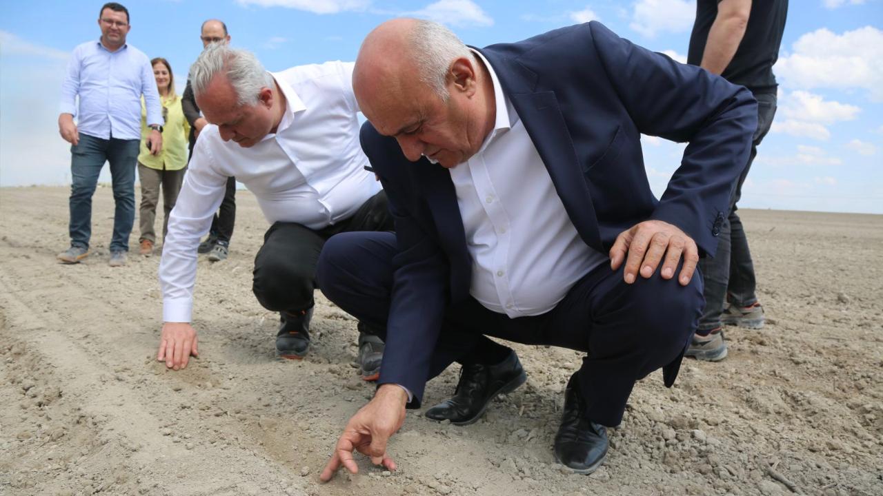 PANKOBİRLİK'ten "şeker fiyatları"yla ilgili kritik uyarı