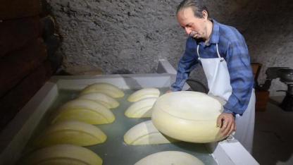 Peynirin serüveni, Türkiye'nin ilk peynir müzesinde