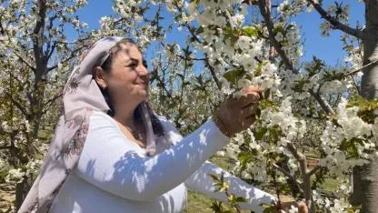 Sultandağı'nda "kiraz çiçeği" buluşması