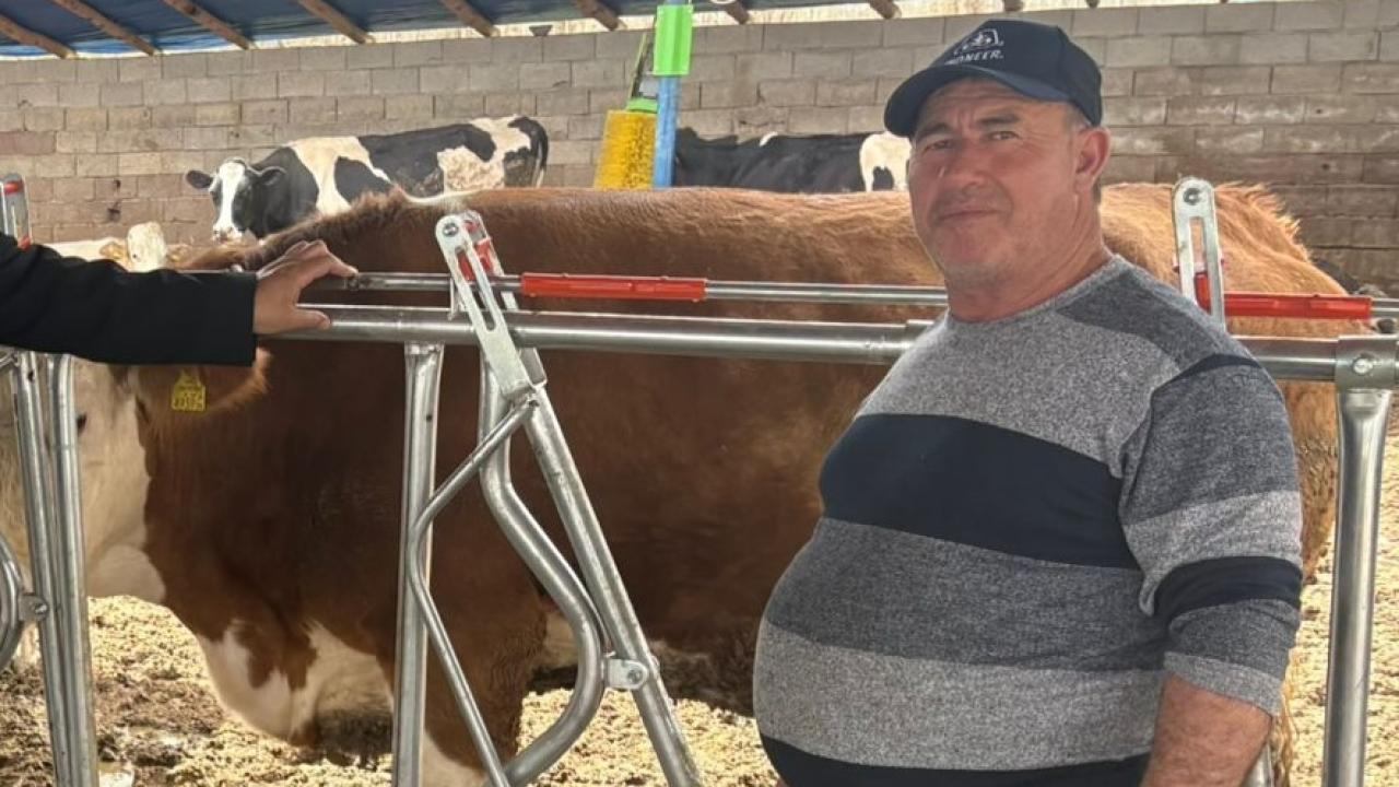 Süt üreticisi: Yemde yüzde 50 devlet desteği sağlanmalı