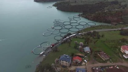 Tunceli Uzunçayır Barajı'nda kafes balıkçılığına geçiliyor