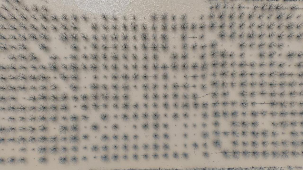 "Velhasıl sudan ibaret Bursa"nın dağı ovası suyla doldu