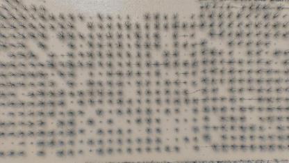 "Velhasıl sudan ibaret Bursa"nın dağı ovası suyla doldu