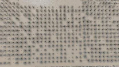 "Velhasıl sudan ibaret Bursa"nın dağı ovası suyla doldu