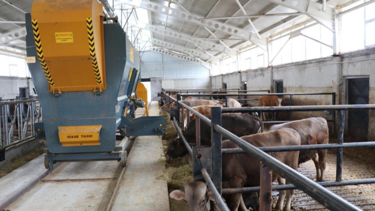 Yüzde 50 hibe ile kurulan "akıllı ahır" Oltu'da örnek oldu