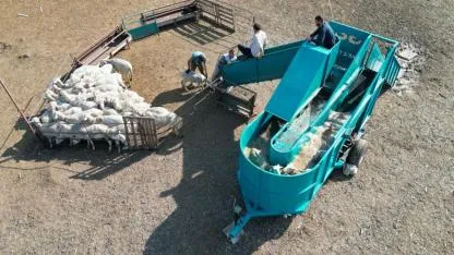 İnegöl'de 35 bin küçükbaş "mobil havuz"da yıkandı